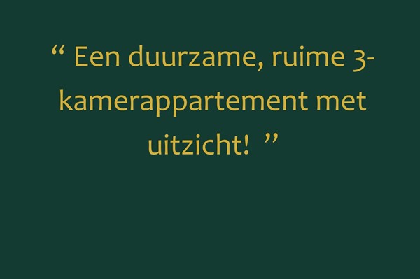 Foto met quote presentatie woning.jpg